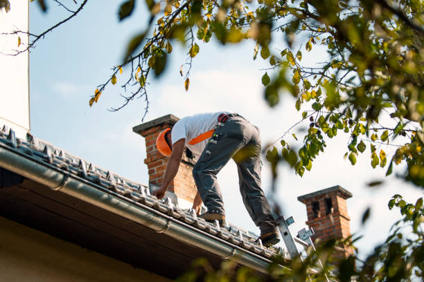 Best Slate Roofing Contractor  in Pierz, MN