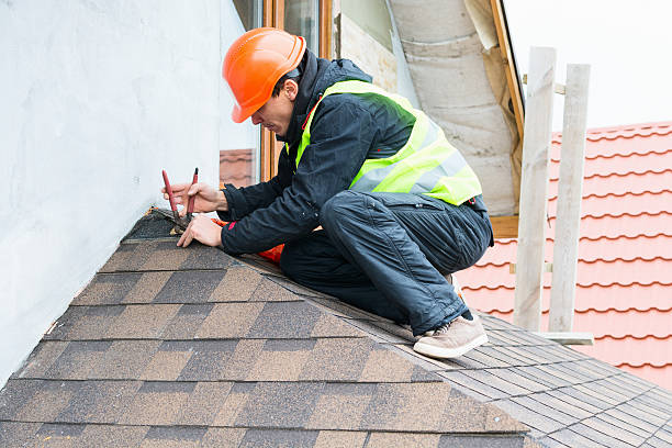 Best Emergency Roof Repair  in Pierz, MN