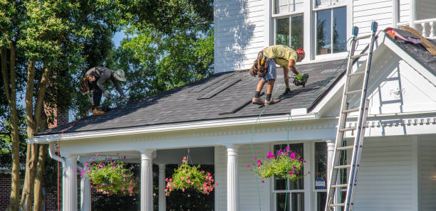 Best Storm Damage Roof Repair  in Pierz, MN