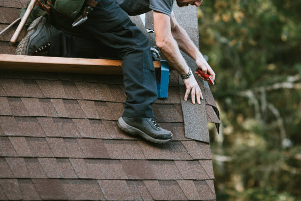 Best Flat Roof Repair Services  in Pierz, MN